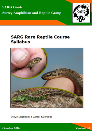 Rare Reptile Course Syllabus