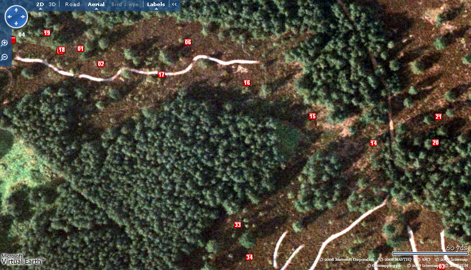 Surrey Amphibian and Reptile Group (SARG) - Reptile Survey Strategy