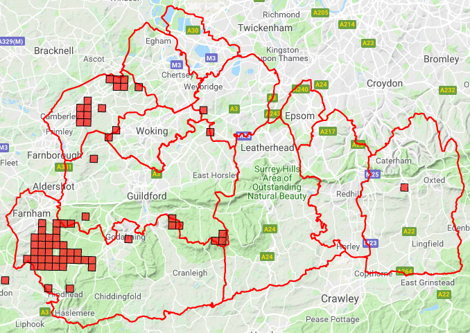 Surrey distribution for and lizard © SARG